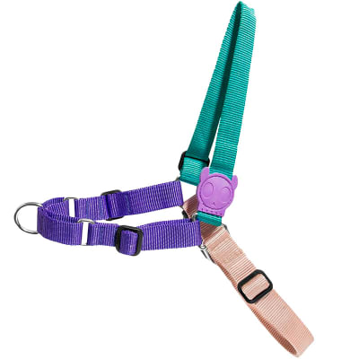 ZEE DOG BOOGIE SOFT-WALK HARNESS1