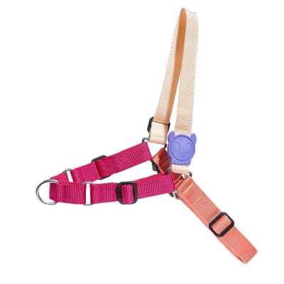 ZEE DOG CINNAMON SOFT-WALK HARNESS1
