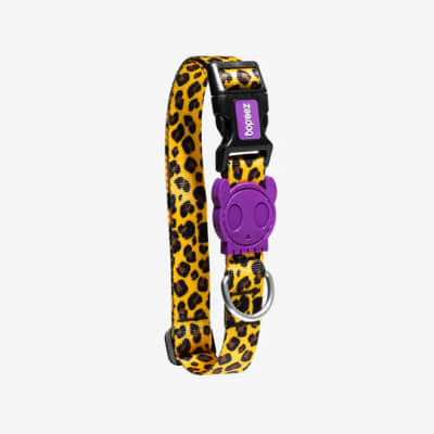 ZEE DOG HONEY COLLAR