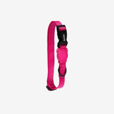 ZEE DOG PINK LED COLLAR1