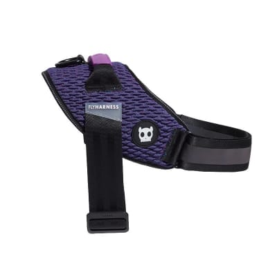 ZEE DOG WICKED FLYHARNESS1
