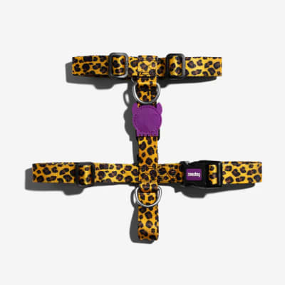 ZEE DOG HONEY H HARNESS1