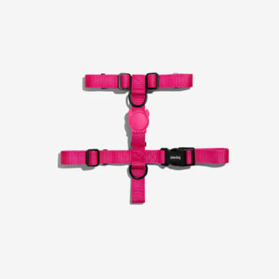 ZEE DOG PINK LED H-HARNESS