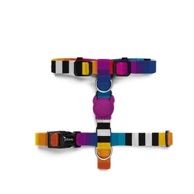 ZEE DOG PRISMA H HARNESS1