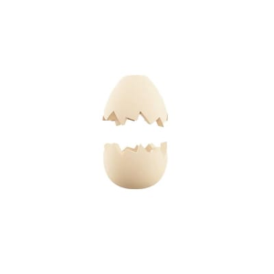 ZEE DOG ZEE PINZ EGG