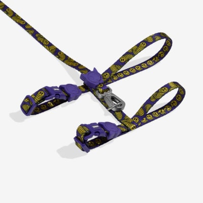 ZEE DOG LORDS OF ZEE.TOWN ZMILEY HARNESS + LEASH SET2