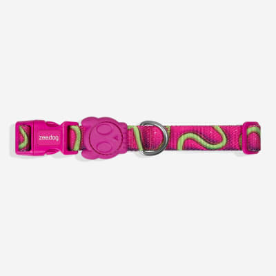 ZEE DOG H3D JELLY COLLAR1