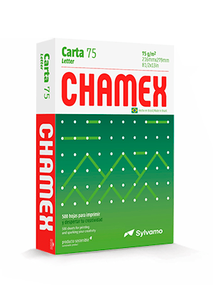 PAPEL FOTOCOPIA CARTA 500 HOJAS 75GRS - CHAMEX