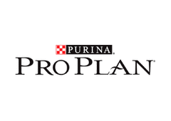 Pro Plan