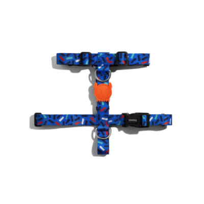 Zee Dog Arnes H Atlanta Medium1