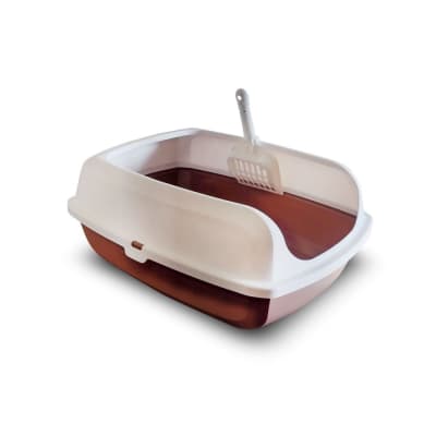 Arenero Tom (Incluye Pala)