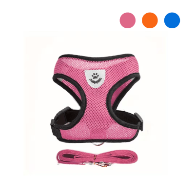 Arnes Gato cuerpo y Correa1