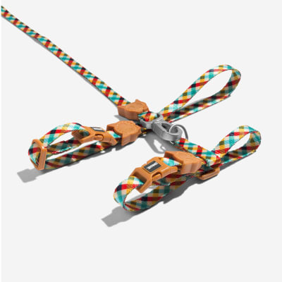 Zee Cat Arnes y Correa Phantom1