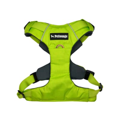 Petlounge Arnes Outdoor Verde M1