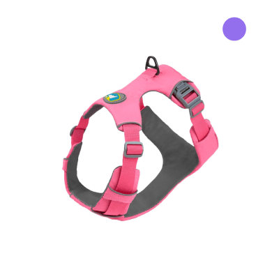 Arnes Perro Color