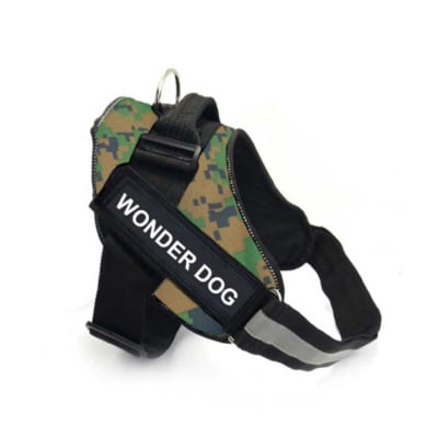 Wonder Dog Arnes S