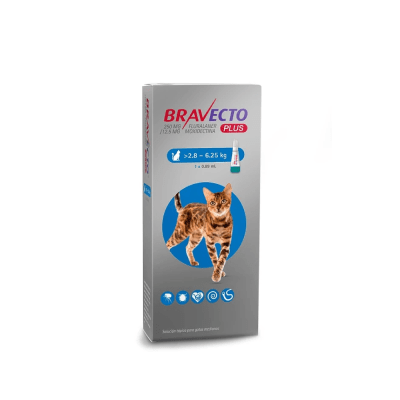 Bravecto Gato Plus 2,8-6,25 Kg