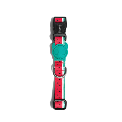 Zee Dog Collar Lola Medium