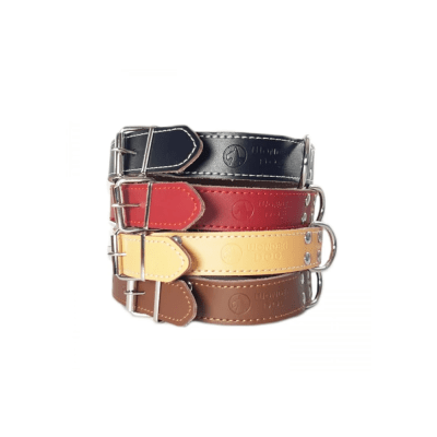 Collar Perro 2,5*50cm1