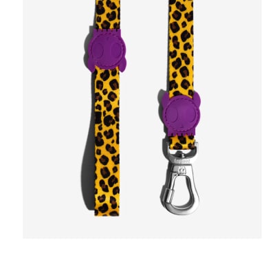 Zee Dog Correa Honey Small