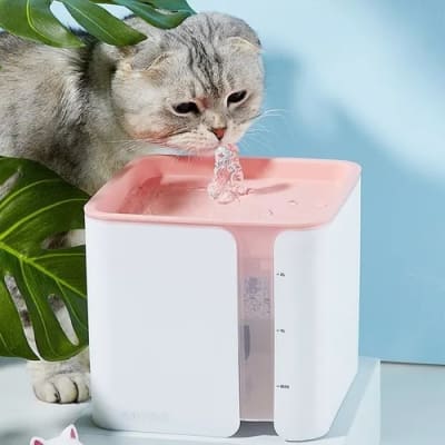 Fuente Agua 2 Lts