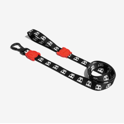 Zee Dog Correa Skull 2.0 Large1