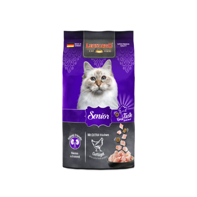 Leonardo Gato Senior