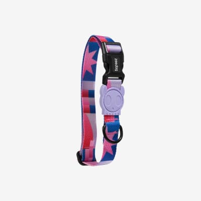 Zee Dog Collar Noon Small1