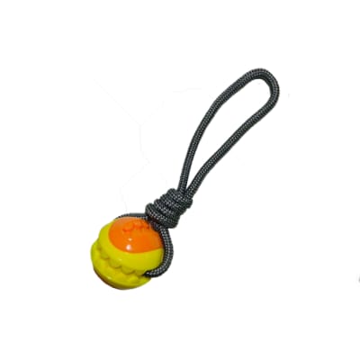 Warrior Pelota con Cuerda1