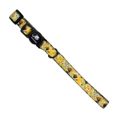 Petlounge Collar Gato Sunshine2