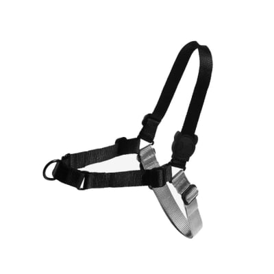 Zee Dog Arnes Soft Walk Gotham Medium