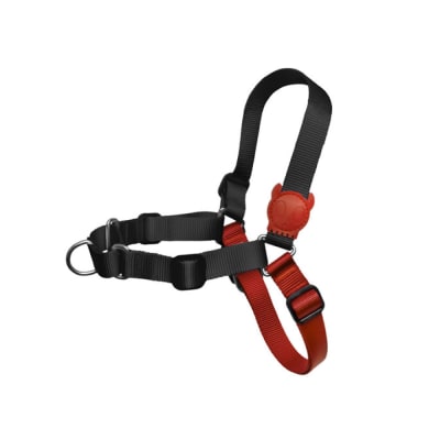 Zee Dog Arnes Soft Walk Fatboy Medium1