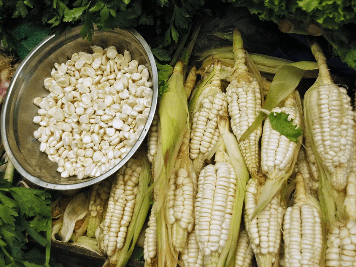 Choclo Peruano - 400 Gr2