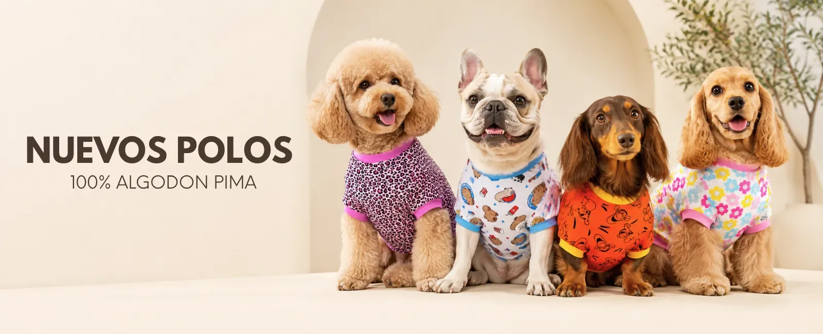 bannerweb 1600x650px 74653.webp