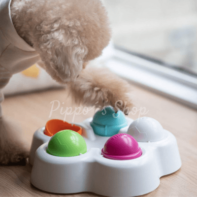 Pet iq inteligente