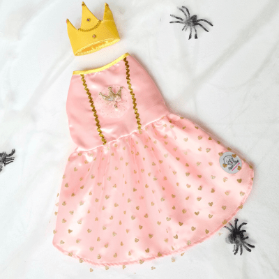 DISFRAZ PRINCESA1