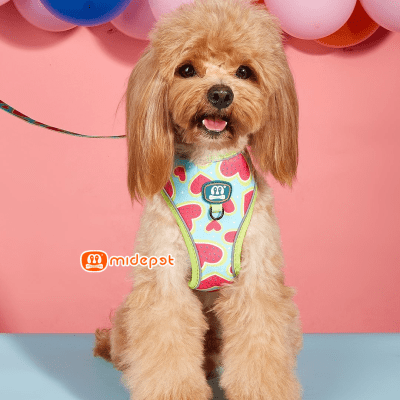 Midepet Pechera + Correa: Sandia1