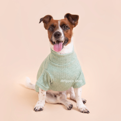 CAFARENA BRUMA VERDE1