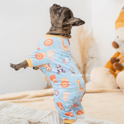 PIJAMA BORIS