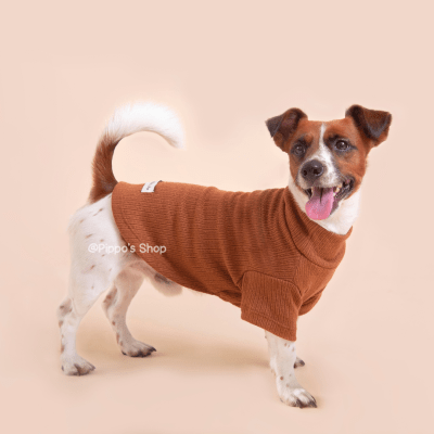 CAFARENA BRUMA CAMELLO1