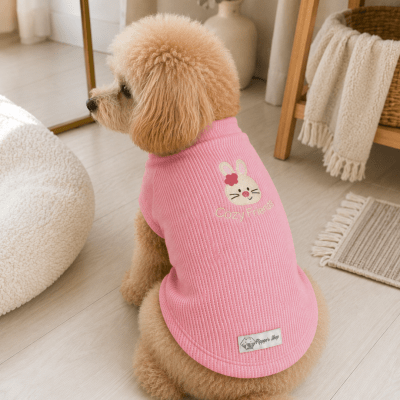 COZY FRIENDS ROSA