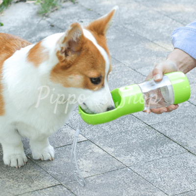 Bebedero 2 funciones