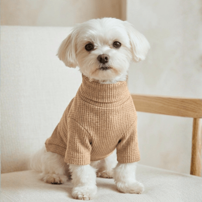 CAFARENA NUUK BEIGE