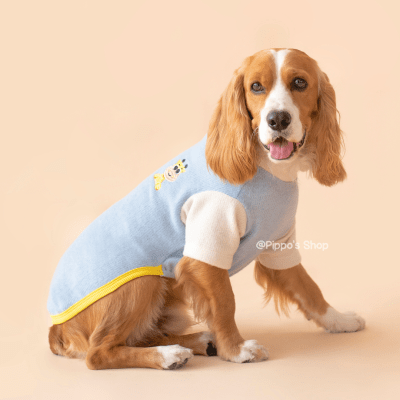 SWEATER CELESTE JIRAFA