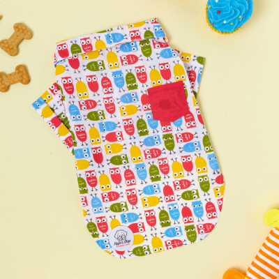 Camisa Ben
