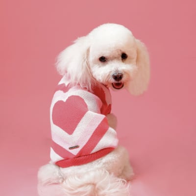 Chompa Corazones