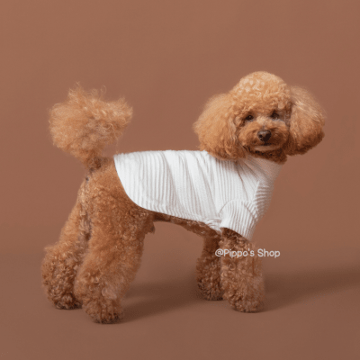 CAFARENA BILBAO BLANCO1