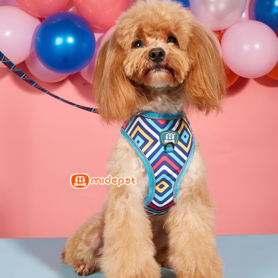 Midepet Pechera + Correa: Rombos1