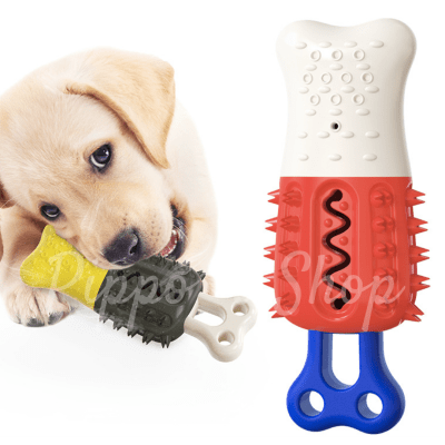 juguete Paleta molar3