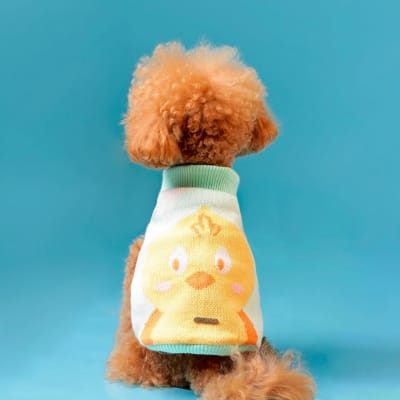 Chompa Pollito